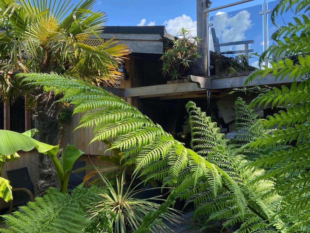 Jungle Cabin Martin Mill Ngoại thất bức ảnh