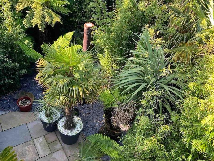 Jungle Cabin Martin Mill Ngoại thất bức ảnh