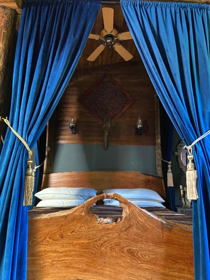 Jungle Cabin Martin Mill Ngoại thất bức ảnh