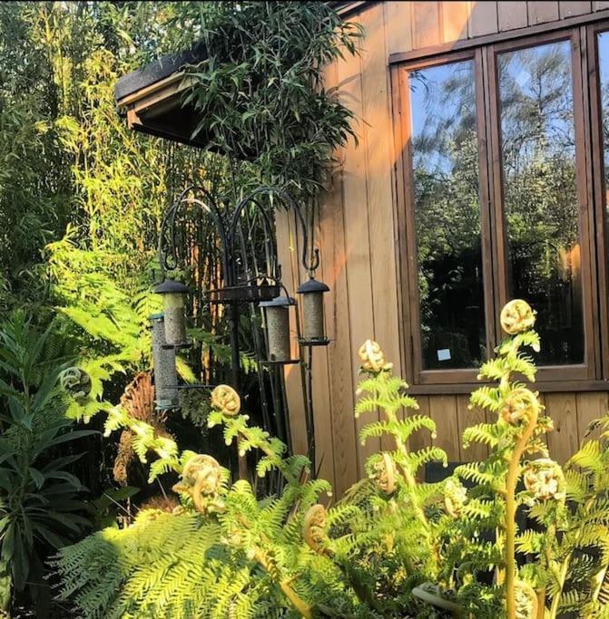 Jungle Cabin Martin Mill Ngoại thất bức ảnh