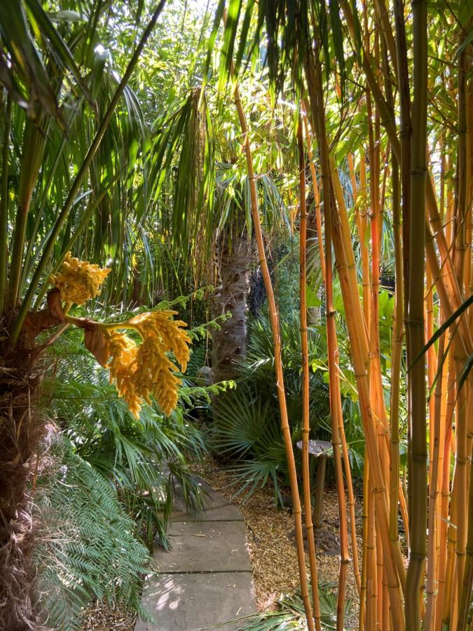 Jungle Cabin Martin Mill Ngoại thất bức ảnh
