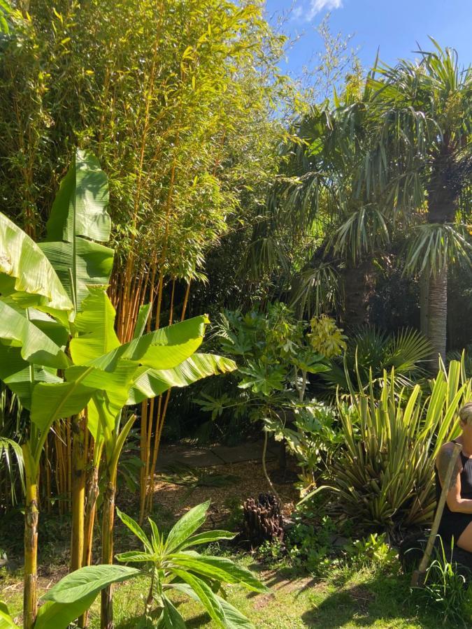 Jungle Cabin Martin Mill Ngoại thất bức ảnh