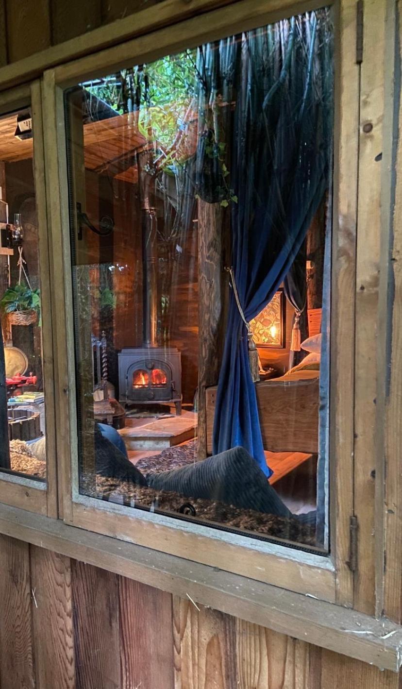 Jungle Cabin Martin Mill Ngoại thất bức ảnh