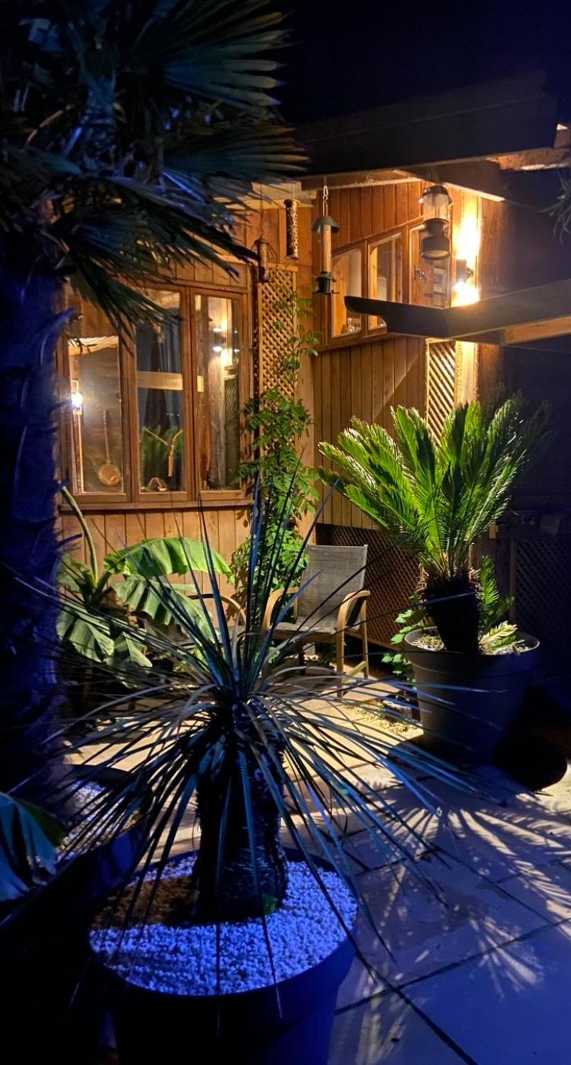 Jungle Cabin Martin Mill Ngoại thất bức ảnh