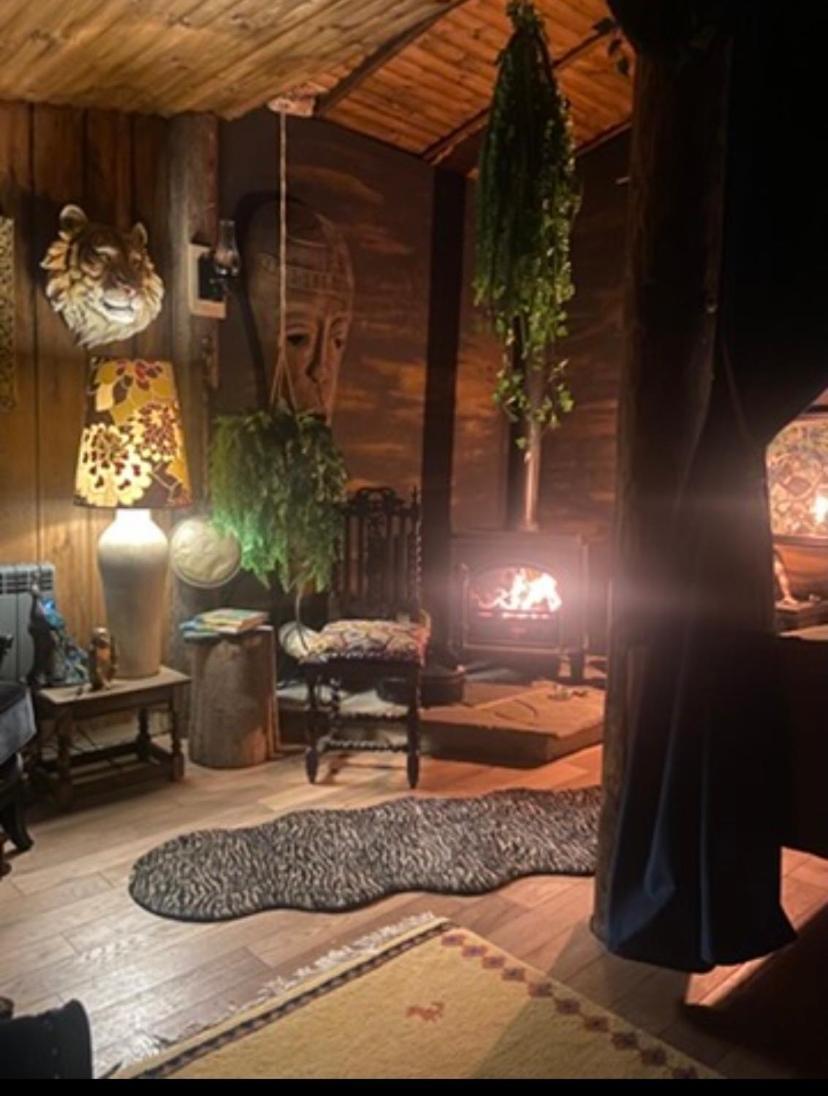 Jungle Cabin Martin Mill Ngoại thất bức ảnh